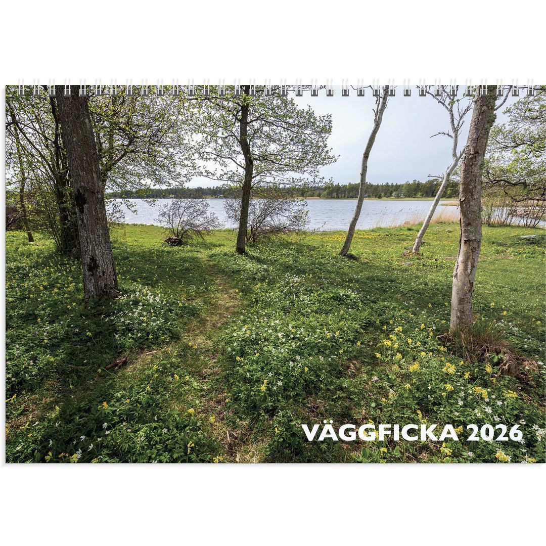 BildeVäggkalender Väggficka 2026