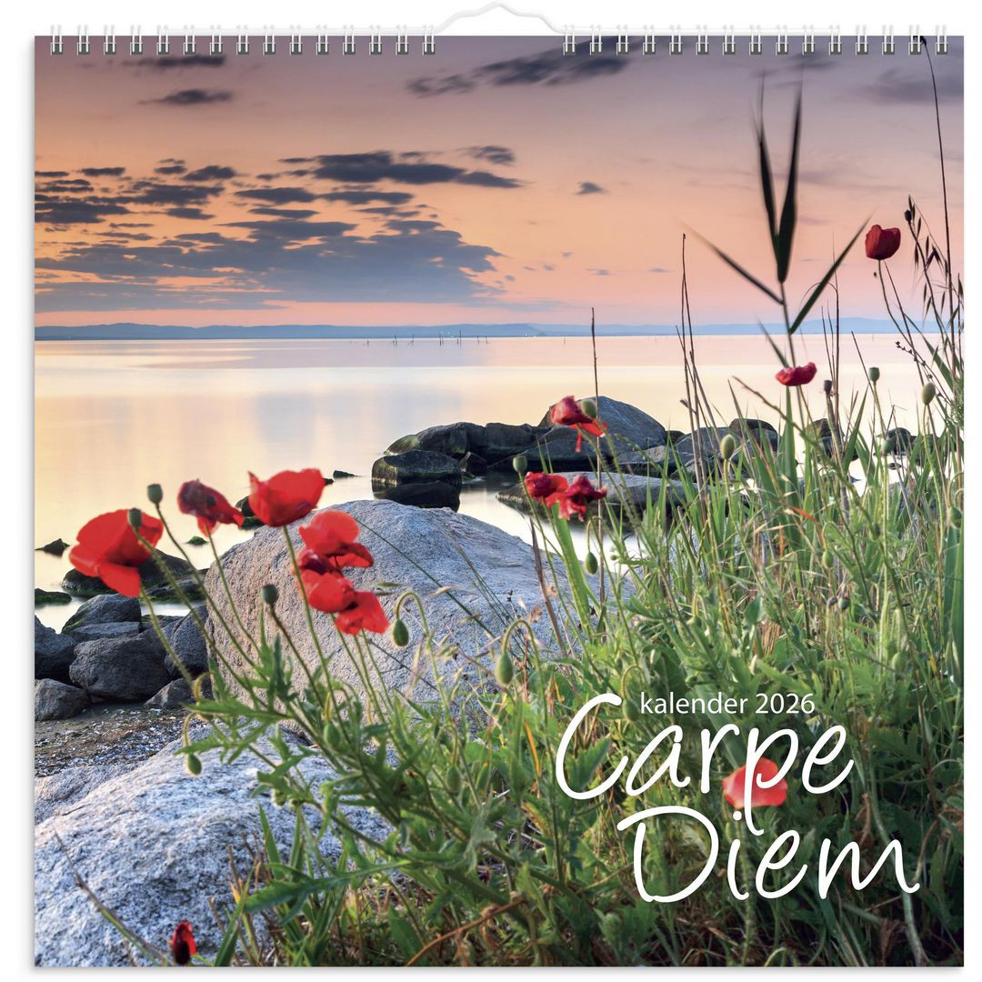 BildeVäggkalender Carpe Diem 2026