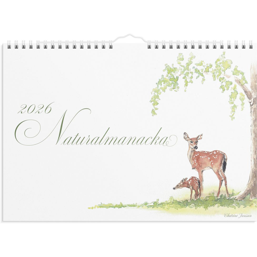 BildeVäggkalender Naturalmanacka 2026