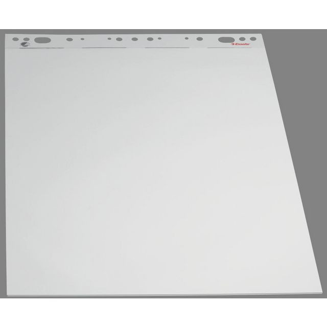 BildeBlädderblock ESSELTE TF 59x83 olinj 5/fp