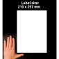 Etikett AVERY Stretch 210x297mm 10/fp