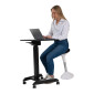 Bord höj/sänk SUN-FLEX Easydesk Pro sva