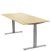 Skrivbord Ergofunk T 1200x800 Bok/Silver