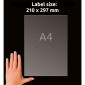 Etikett AVERY transp 210x297mm 25/fp