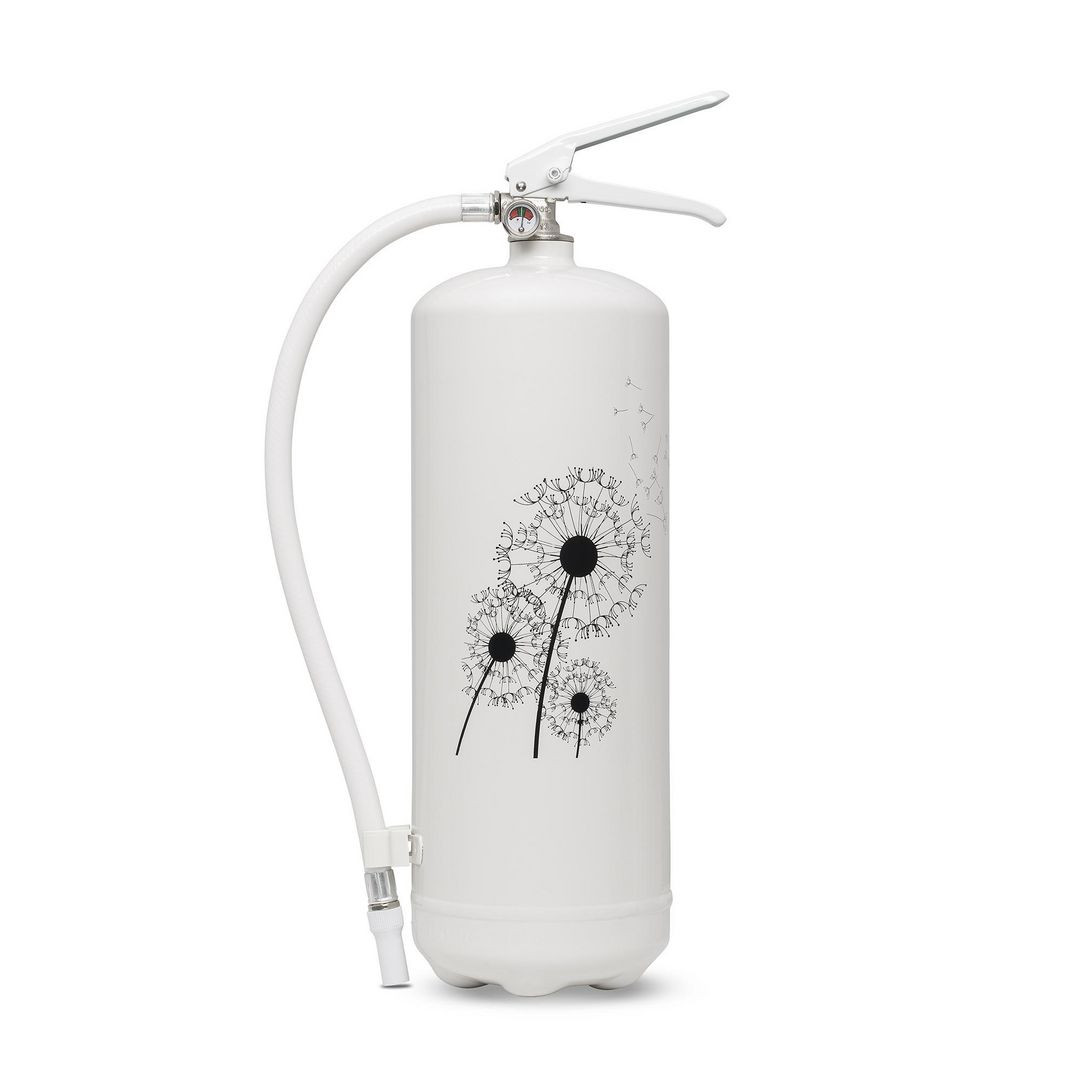 BildeBrandsläckare NEXA 6kg Maskros vit 43A