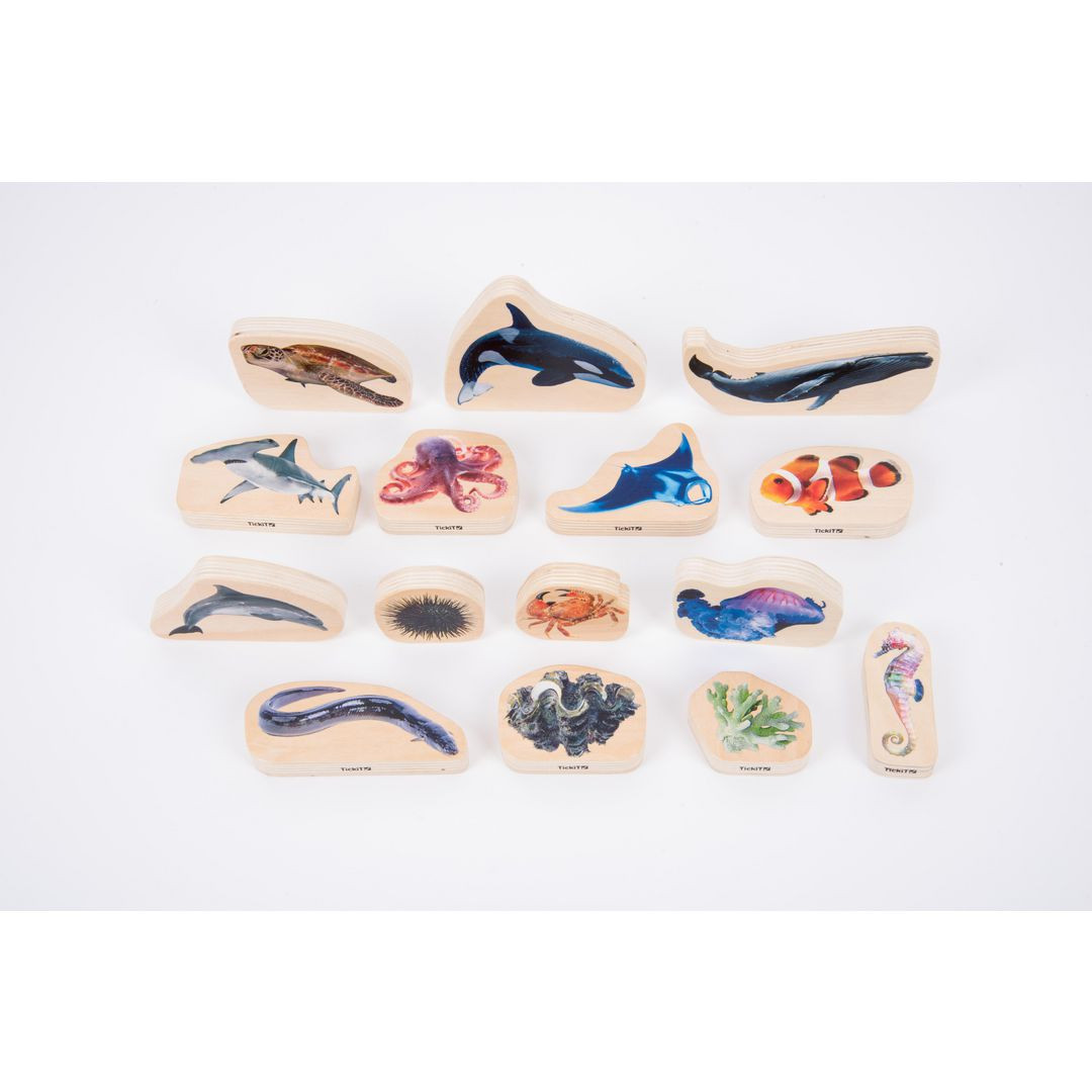 BildeTräfigurer havet 15/fp